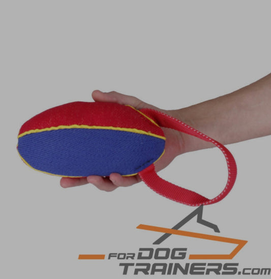 ForDogTrainers Rugby